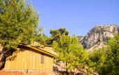 Туры в отель Tree Houses