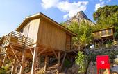 Туры в отель Tree Houses