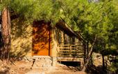 Туры в отель Tree Houses