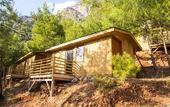 Туры в отель Tree Houses