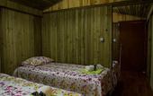 Туры в отель Tree Houses