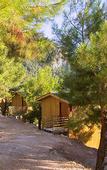 Туры в отель Tree Houses