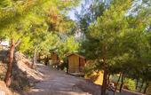 Туры в отель Tree Houses