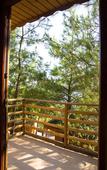 Туры в отель Tree Houses