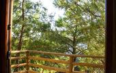 Туры в отель Tree Houses