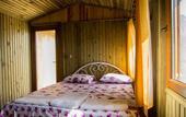 Туры в отель Tree Houses
