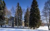 Туры в отель OREA Resort Devet Skal Vysocina