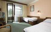 Туры в отель OREA Resort Devet Skal Vysocina