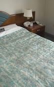 Туры в отель Hotel Crescent Asahikawa