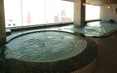 Туры в отель Hotel Crescent Asahikawa
