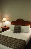 Туры в отель Hotel Bondi