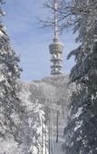 Туры в отель Hotel Tomislavov Dom