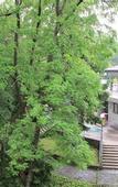 Туры в отель Hotel Tomislavov Dom