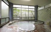 Туры в отель Kusatsu Hotel
