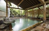 Туры в отель Kusatsu Hotel