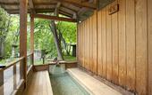 Туры в отель Kusatsu Hotel