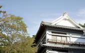 Туры в отель Kusatsu Hotel