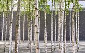 Туры в отель Greulich Design & Boutique Hotel