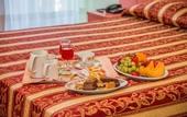 Туры в отель Hotel Benaco