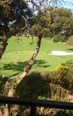 Туры в отель Hermanus Lodge on the Green