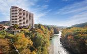 Туры в отель Hotel Sunshine Kinugawa