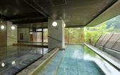 Туры в отель Hotel Sunshine Kinugawa