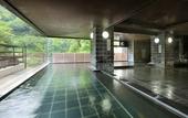 Туры в отель Hotel Sunshine Kinugawa