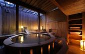 Туры в отель Hotel Sunshine Kinugawa