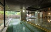 Туры в отель Hotel Sunshine Kinugawa
