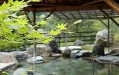 Туры в отель Hotel Sunshine Kinugawa