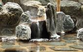 Туры в отель Hotel Sunshine Kinugawa