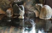 Туры в отель Hotel Sunshine Kinugawa