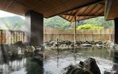 Туры в отель Hotel Sunshine Kinugawa