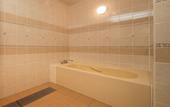 Туры в отель Hotel Sunshine Kinugawa