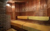 Туры в отель Hotel Sunshine Kinugawa