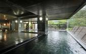 Туры в отель Hotel Sunshine Kinugawa