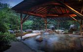Туры в отель Hotel Sunshine Kinugawa