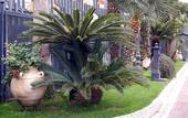 Туры в отель Hotel Ristorante Donato