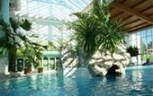 Туры в отель IFA Schoneck Hotel & Ferienpark
