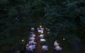 Туры в отель Villa Scacciapensieri Boutique Hotel