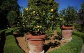 Туры в отель Villa Scacciapensieri Boutique Hotel