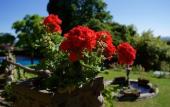 Туры в отель Villa Scacciapensieri Boutique Hotel