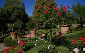 Туры в отель Villa Scacciapensieri Boutique Hotel