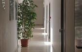 Туры в отель Hotel Citti