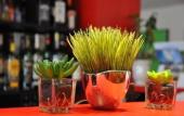 Туры в отель Le M Hotel & Spa Honfleur