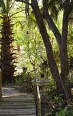 Туры в отель Yellow Aloe Guesthouse