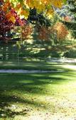 Туры в отель Ruca Kuyen Golf & Resort