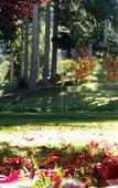 Туры в отель Ruca Kuyen Golf & Resort