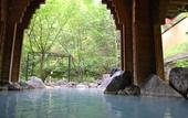 Туры в отель Kirishima Kokusai Hotel