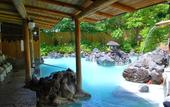 Туры в отель Kirishima Kokusai Hotel